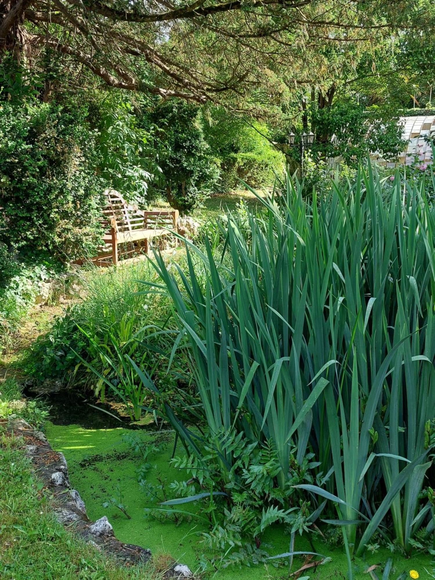 La Gueriniere L'Anglaise Bed & Breakfast Chateauneuf-sur-Charente Exterior photo